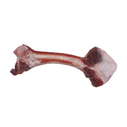 Mutton Leg Bone